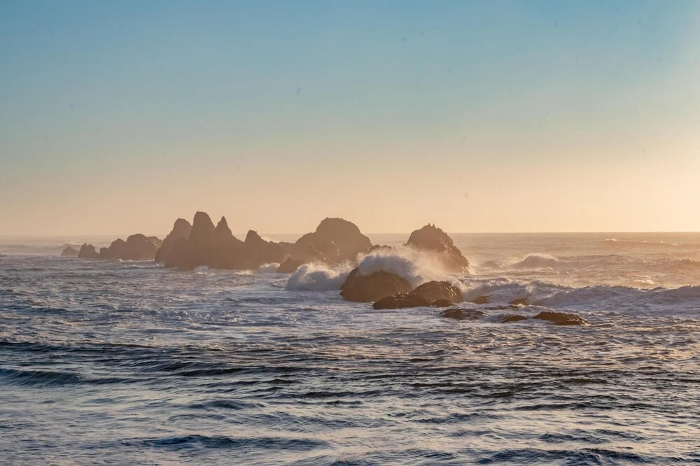 Ocean Dream