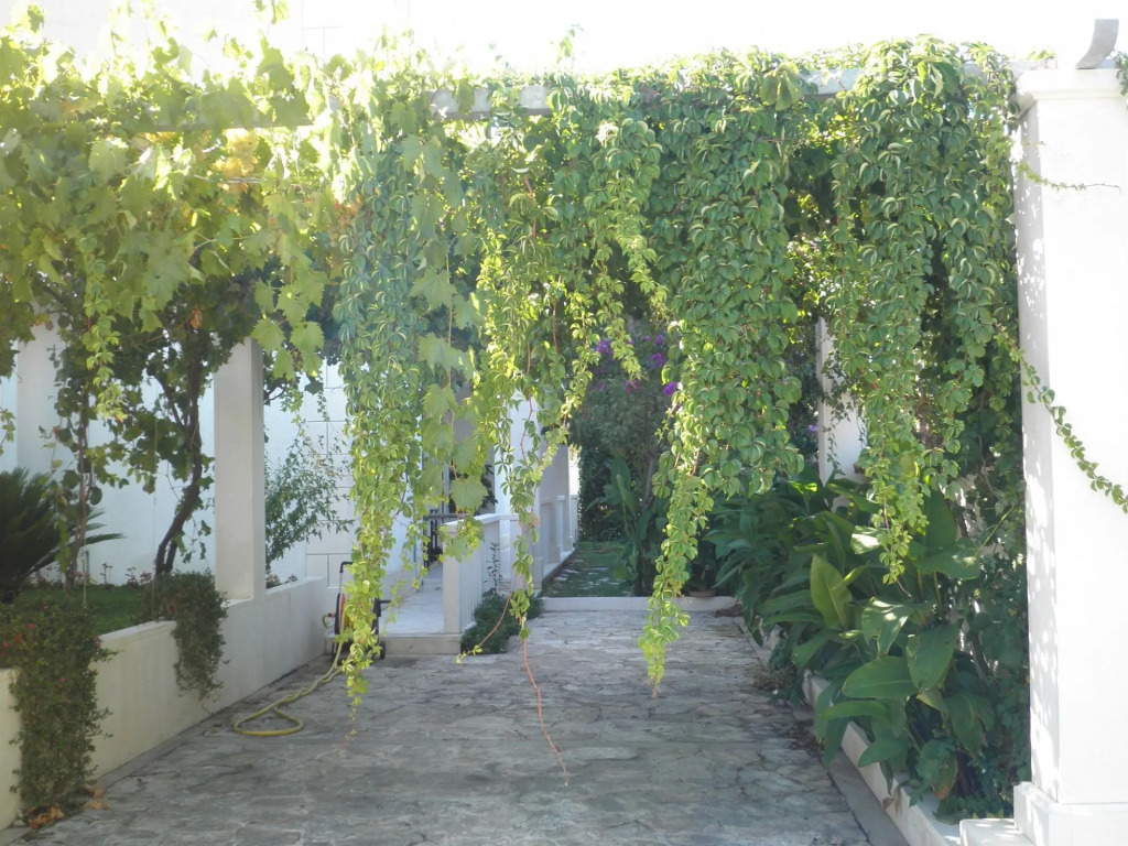Apartment Aldica