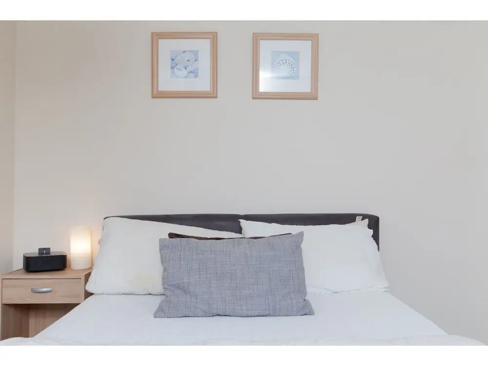 Festival Flat for 4 Overlooking Arthur's Seat