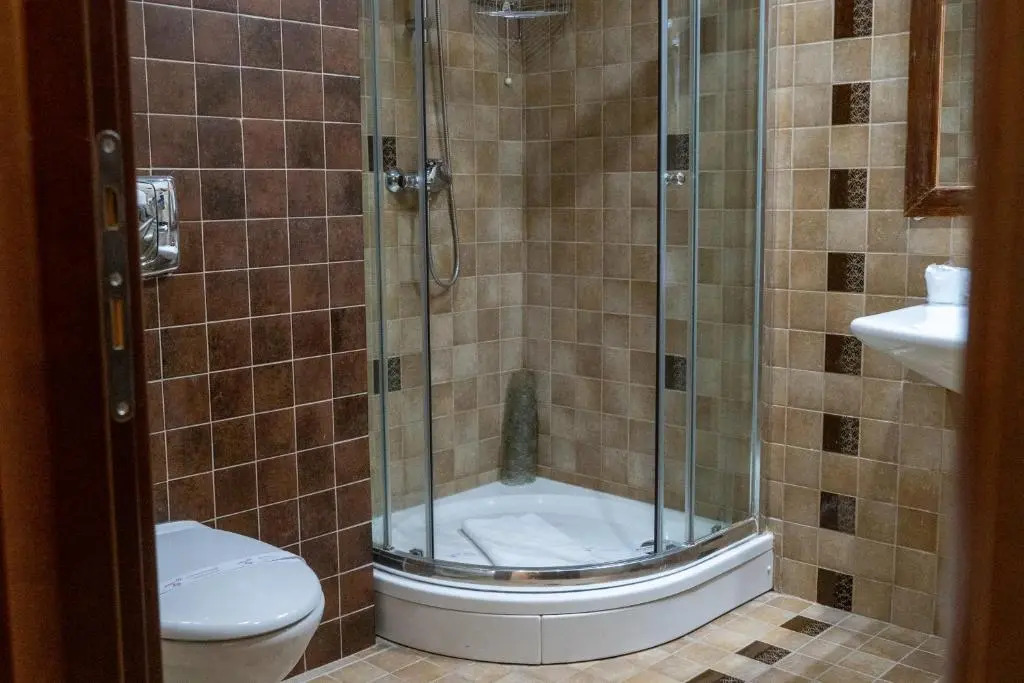 Apartament executive vedere munte Alpin Resort Poiana Brasov