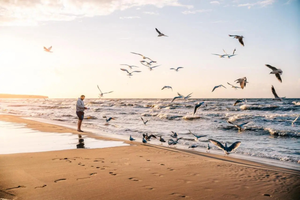 Nickel Resort & Wellnest Kołobrzeg - Grzybowo