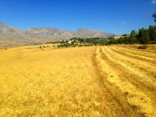 Antica Masseria