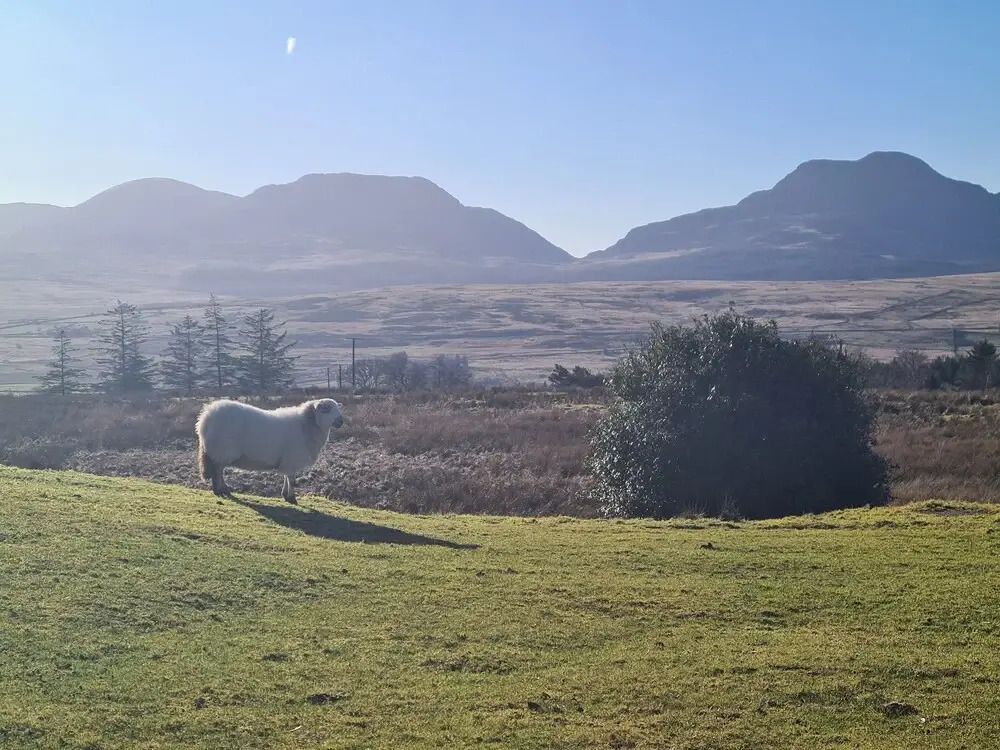 Rhiw Goch Inn Holiday Home