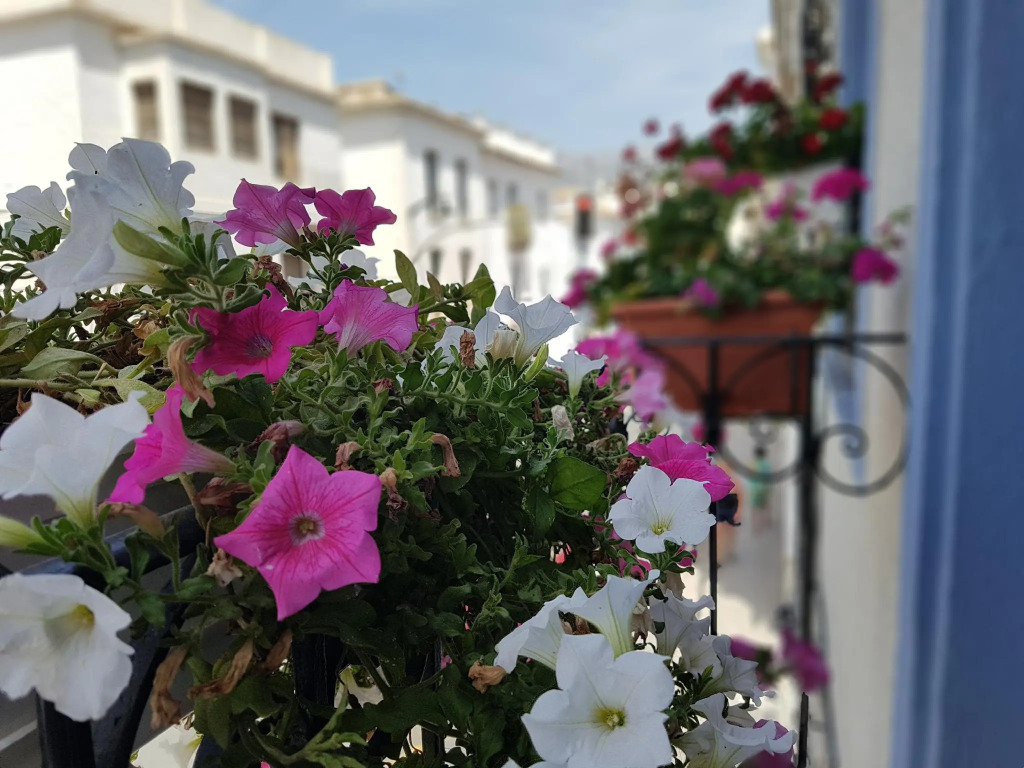 Hostal Boutique Casa del Mar Altea