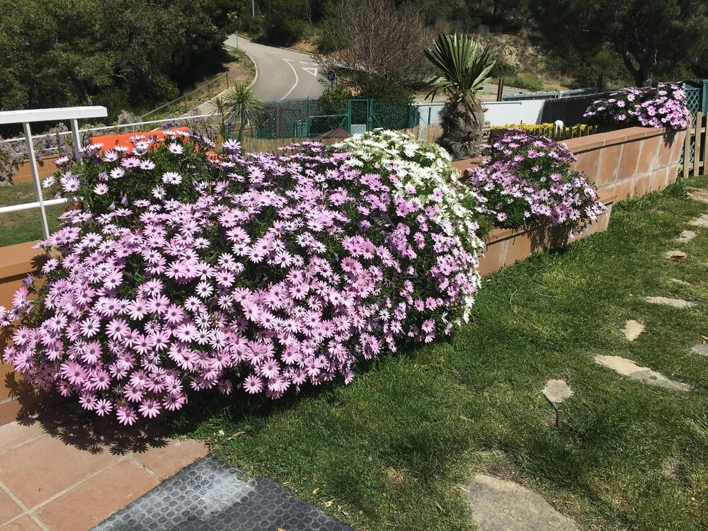 Villa With 4 Bedrooms in Tossa de Mar, With Wonderful sea View, Private Pool, Enclosed Garden