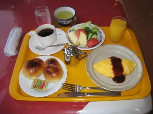 Kumamoto Station Hotel