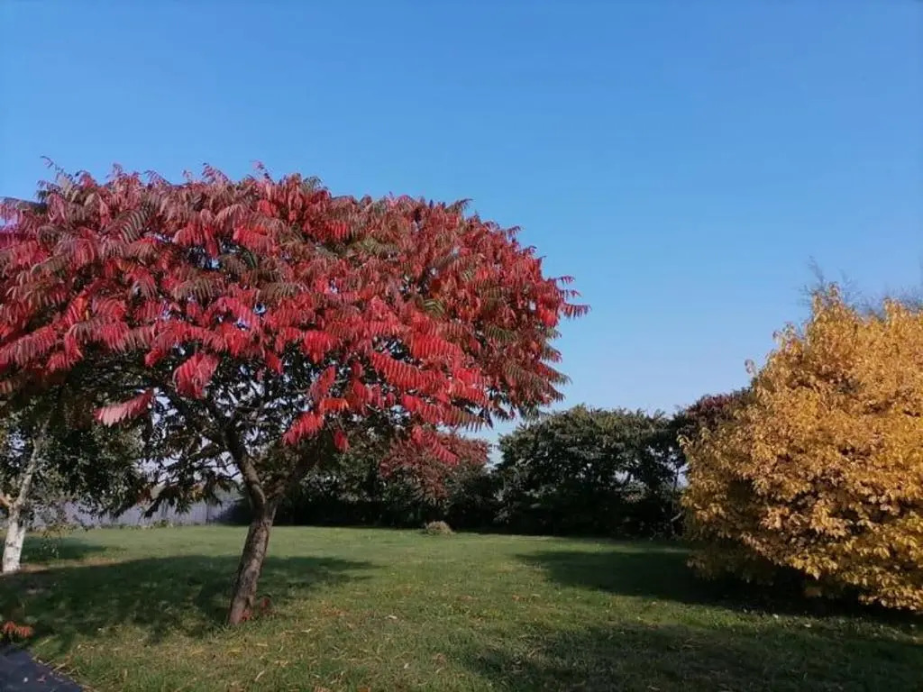 Gîte en campagne rénové avec cheminée, grands jardins, WiFi, près dun village médiéval. - FR-1-410-334