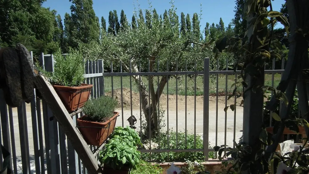 Apartment With one Bedroom in Viareggio, With Wonderful Mountain View