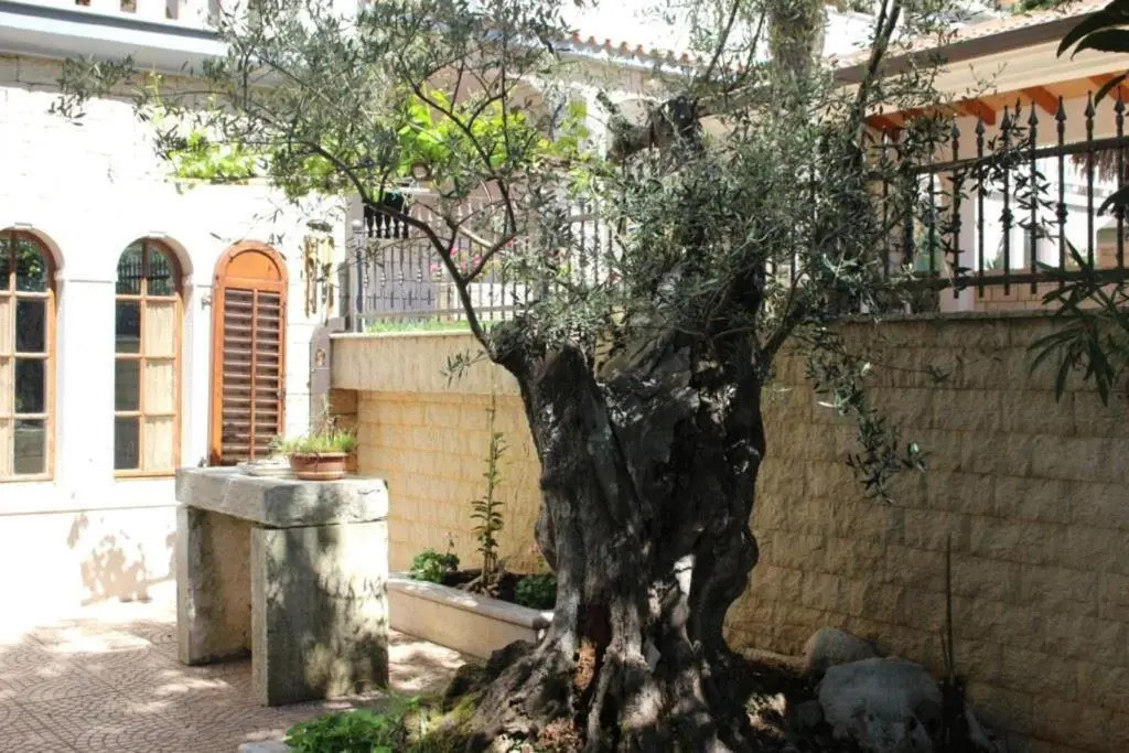 Apartment Maras