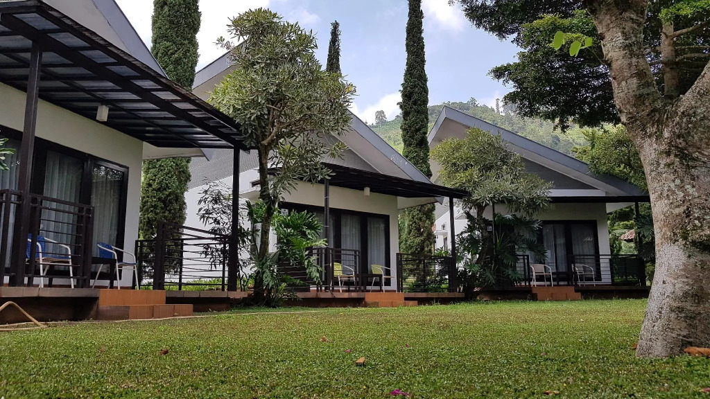 New Mountain Springs Hotel & Resort
