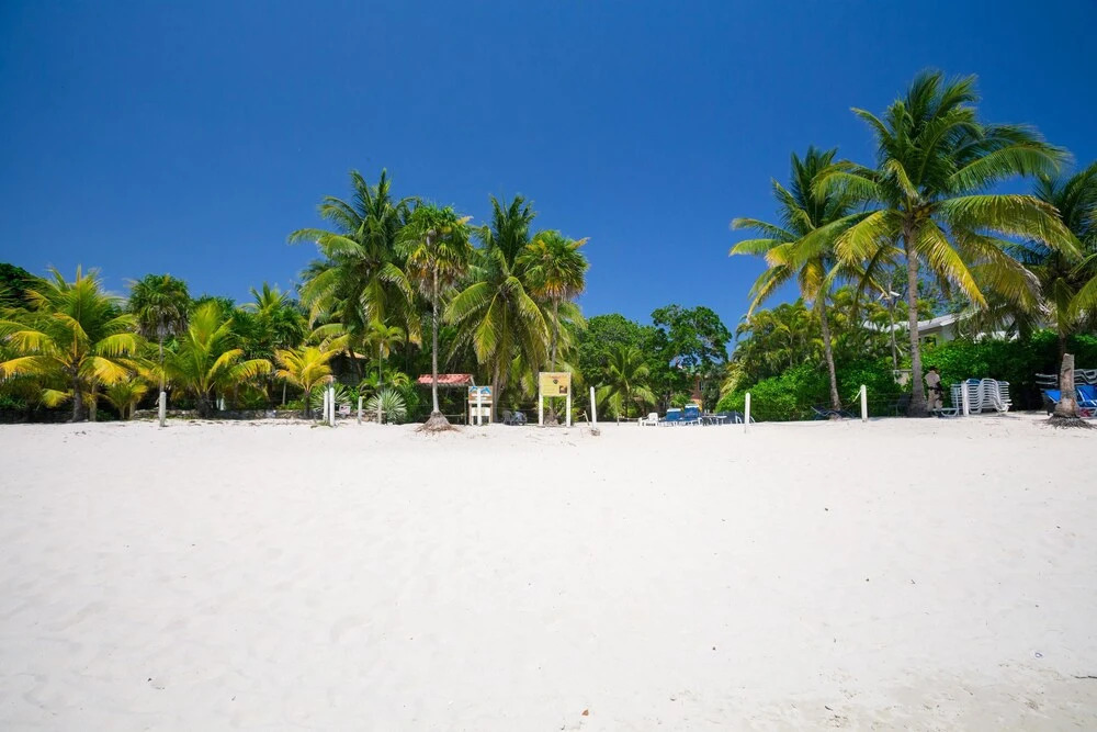 Playa Bonita 1 bedroom