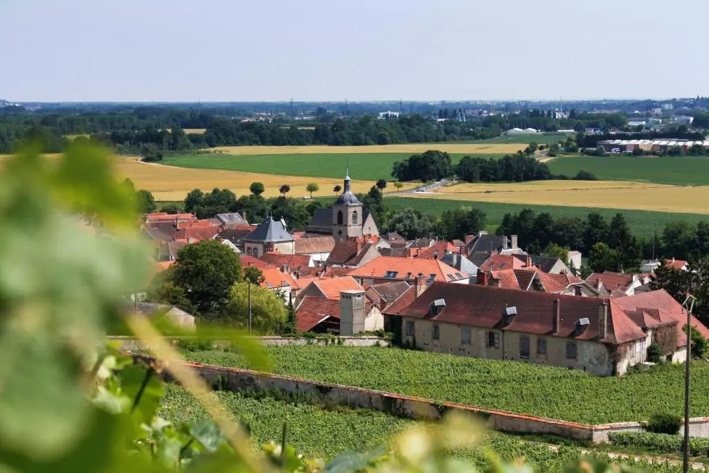 Champagne Philippe Martin
