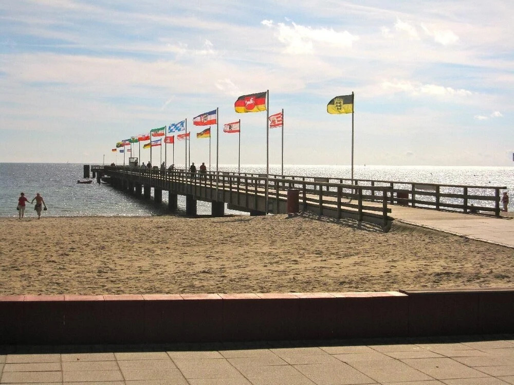 Möwennest 8
