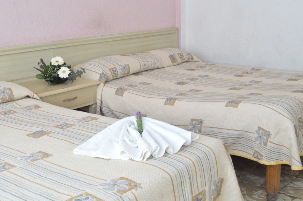 Hotel Viena