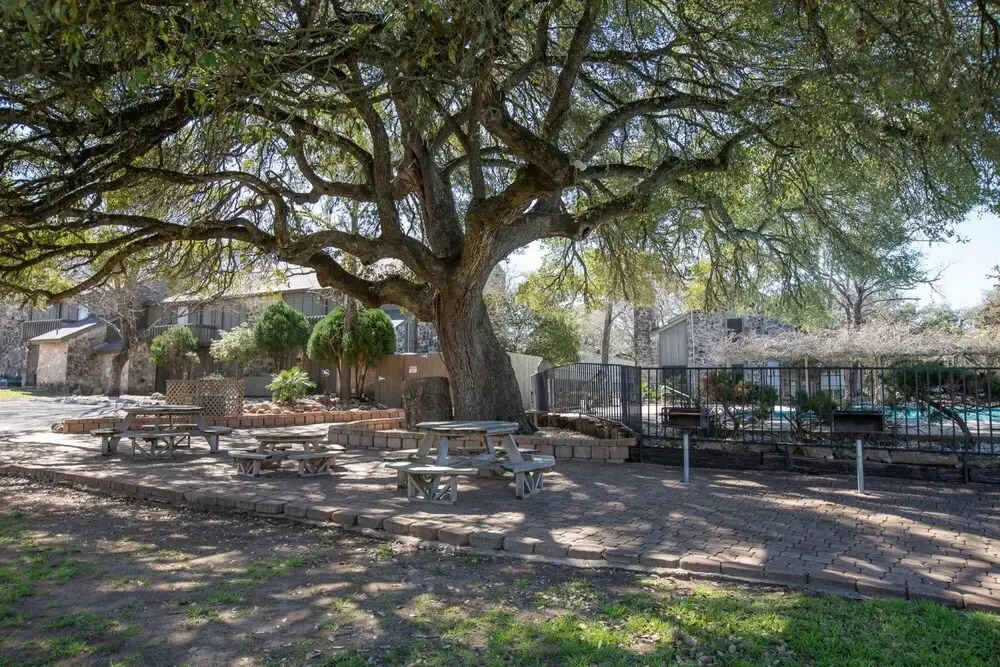 Deer Haven TBM 406 in New Braunfels