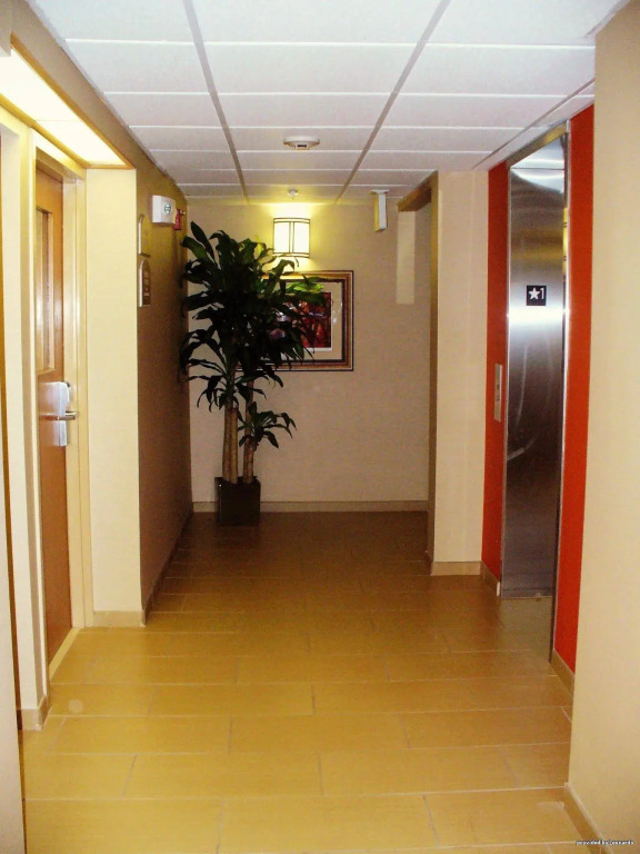 Best Western The Inn at Sharon - Foxboro