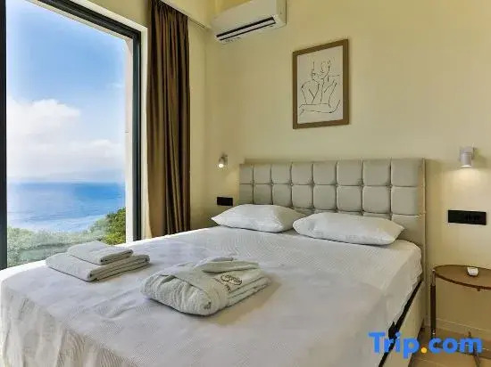 Orange Tree Pool Villas - Sea View and Private Pool