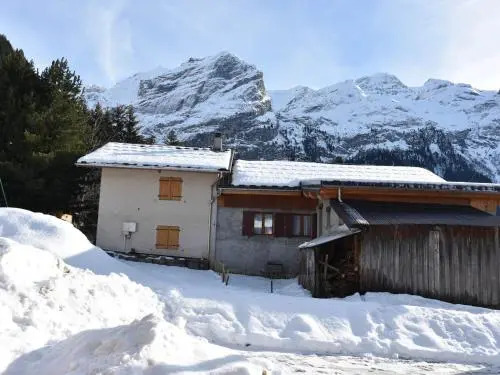 Apartment Beau 2 pièces - état neuf - dans chalet
