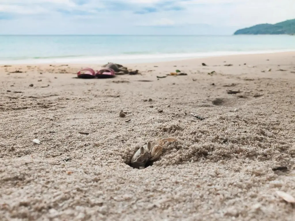 Ban Don Holidayhome