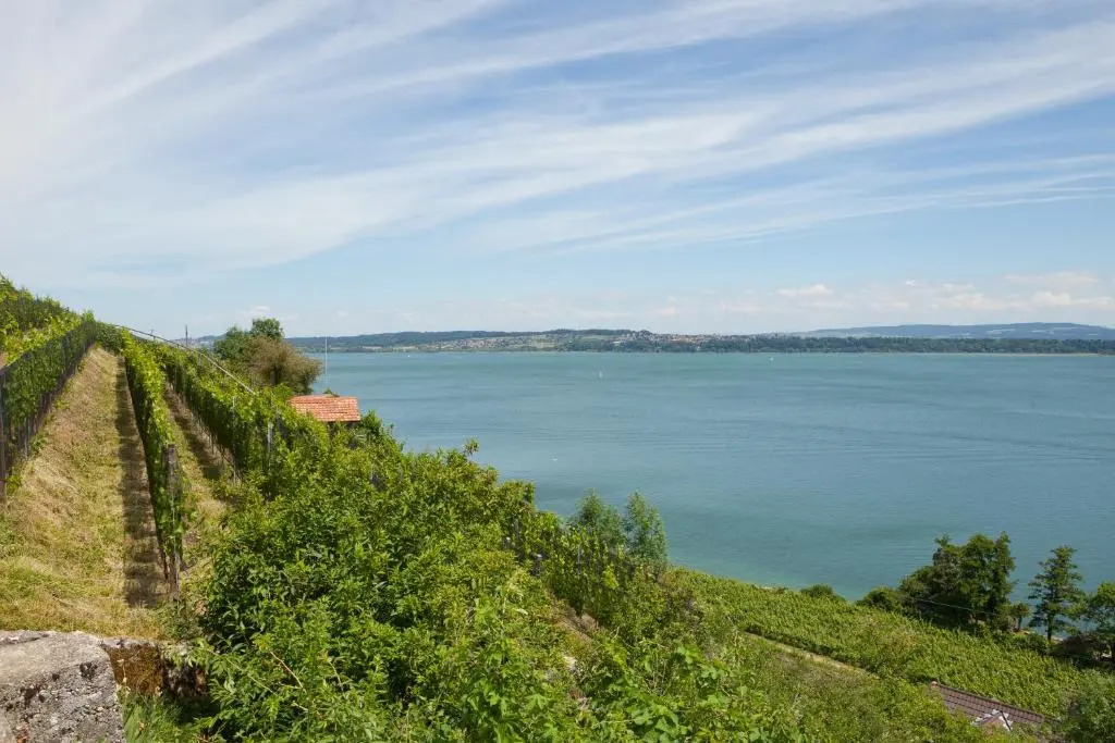 Alpes et Lac
