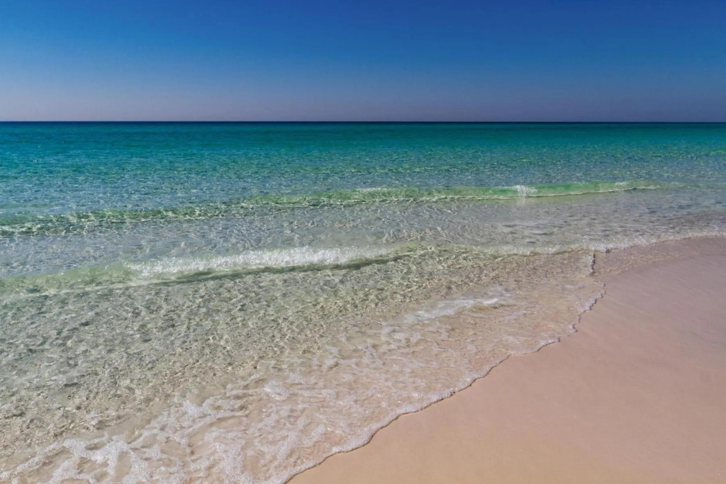 Beach Manor 0111