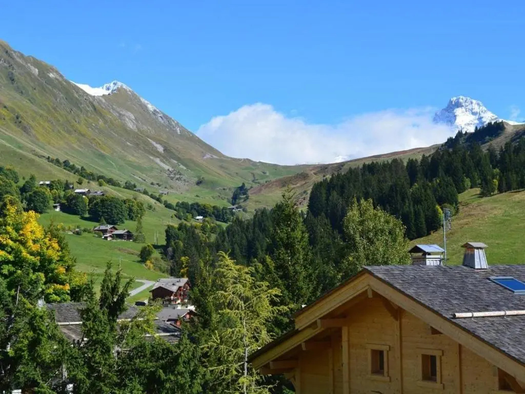 Appartement Le Grand-Bornand, 2 pièces, 6 personnes - FR-1-241-205