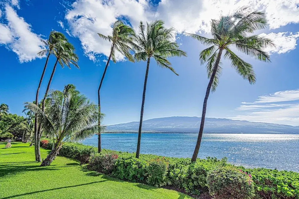 Maalaea Banyans 411 - Modern Renovation, Direct Ocean Front, Incredible View, AC