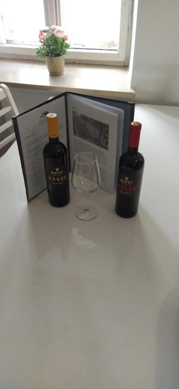 Wine apartment Zaklad Soče