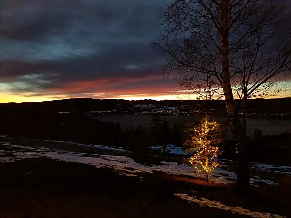 Mjøshytte