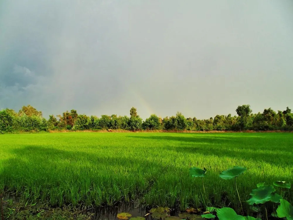 Hai Lua Homestay (Lotus Lake Homestay)