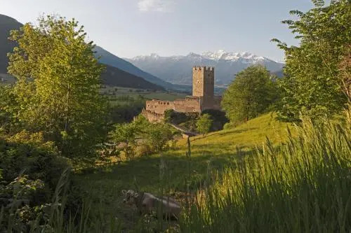 Garni Appartements Almrausch