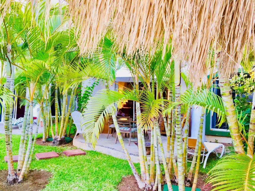 Gorgeous 11 People Comfort Villa With Pool Playacar Phase 2