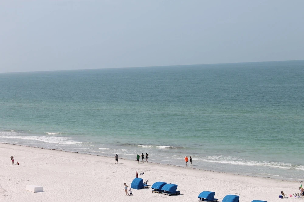 Beach Palms 505
