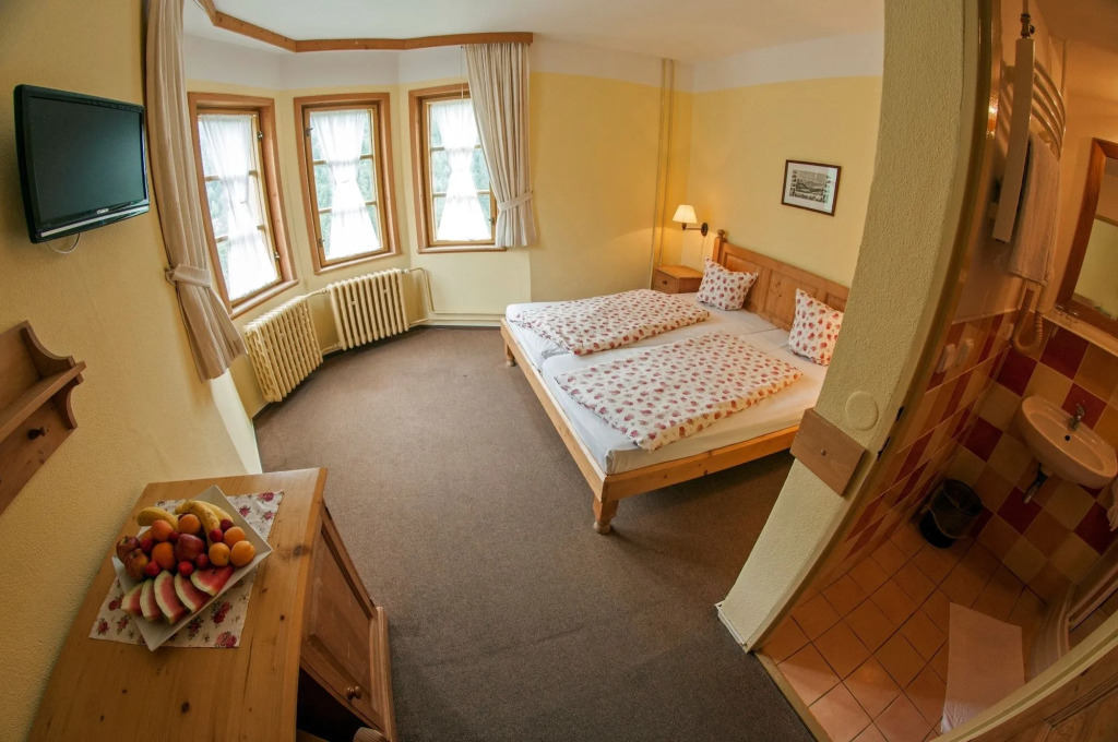 Alpský Hotel