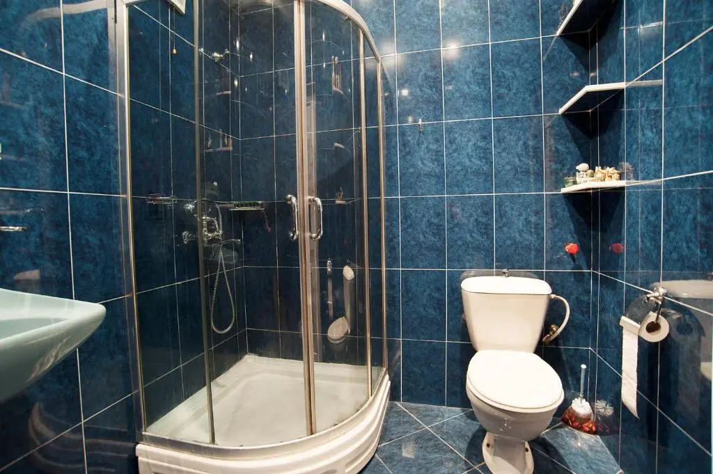 Apartment in Purtseladze Street
