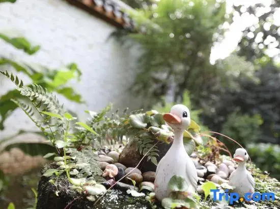 Xi'an Baishiyunju Homestay (Qinling Wildlife Park Branch)