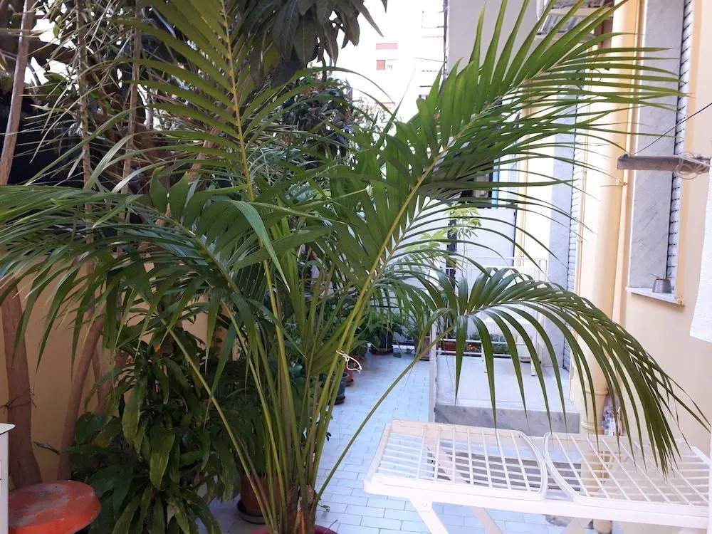 La Riviera B&B