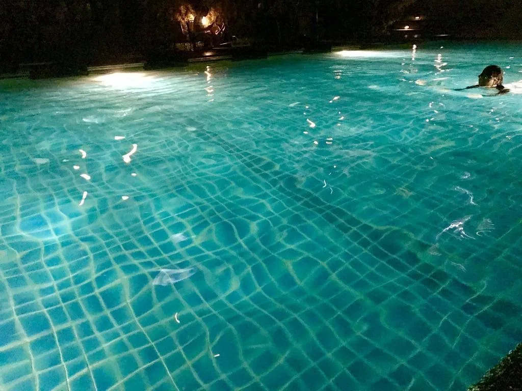G&Y House