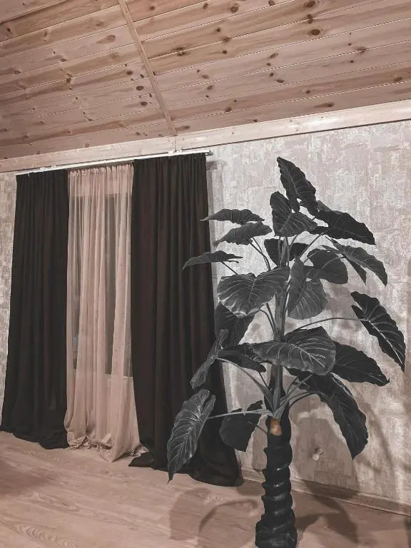 Cottage Shina