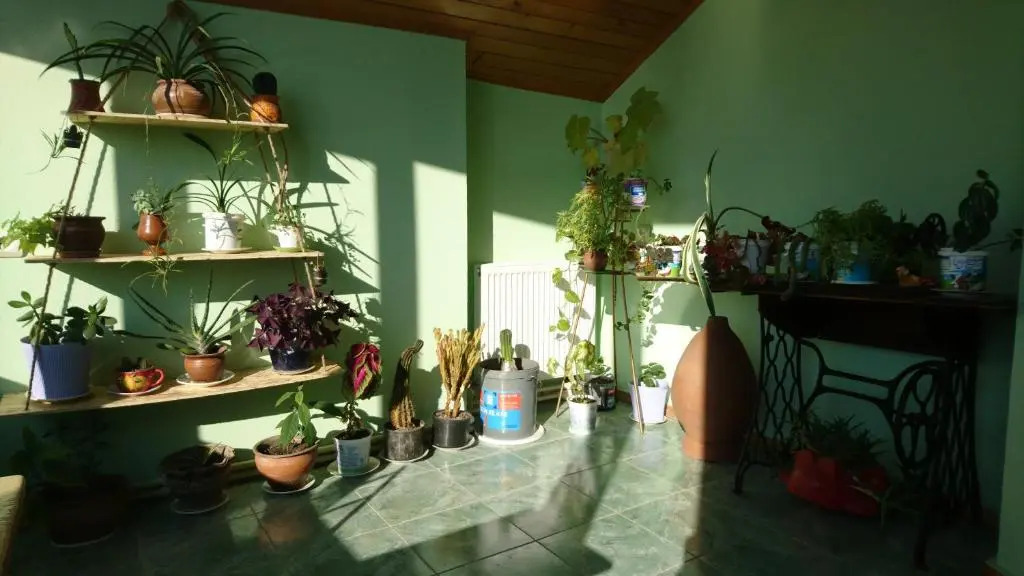 Art - 7