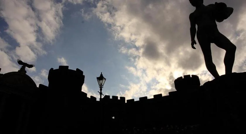 Flycatcher Castle