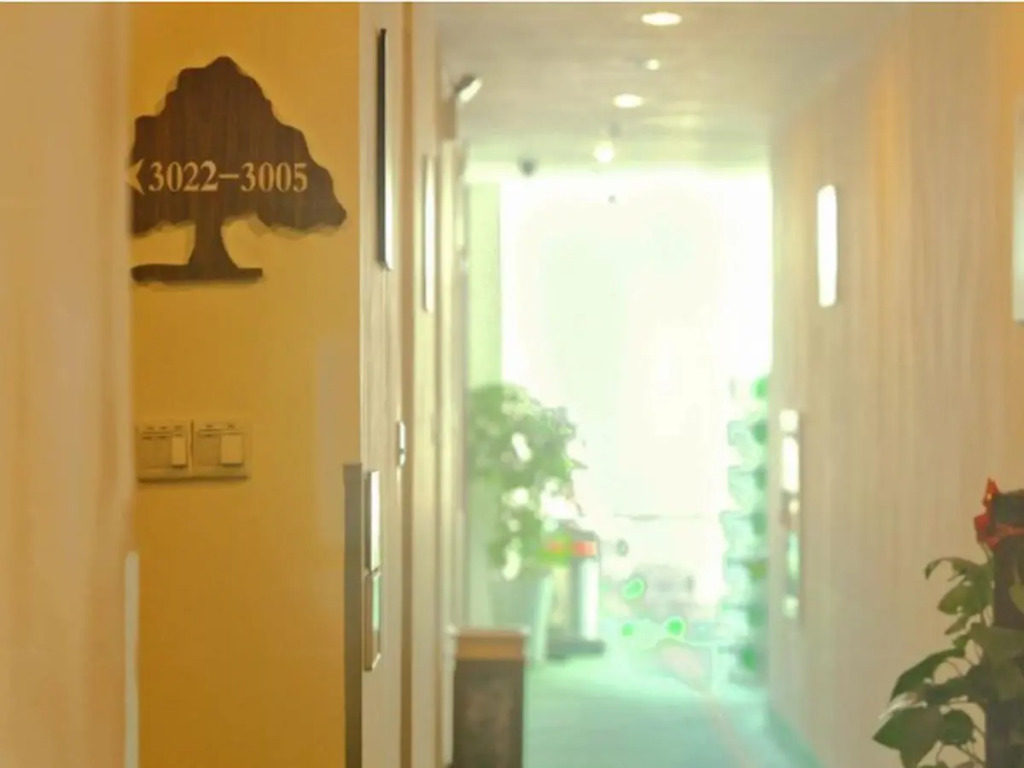 GreenTree Alliance Nanjing HanzhonGMEn Subway Station Hotel