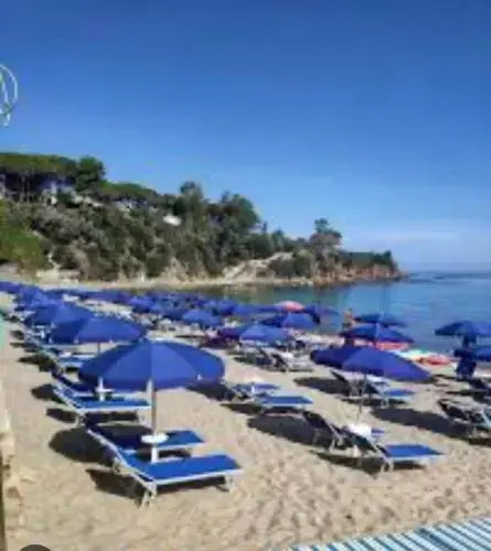 Residence Gli Aranceti Les Orangers