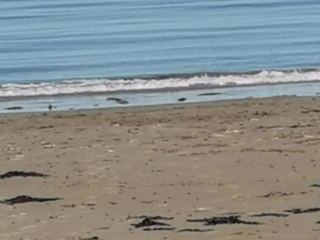 Snowdonia Sunbeach Holiday Sea and Mountain View