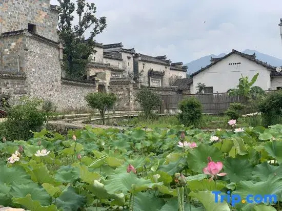 Pingyuan Mountain House Boutique B&B