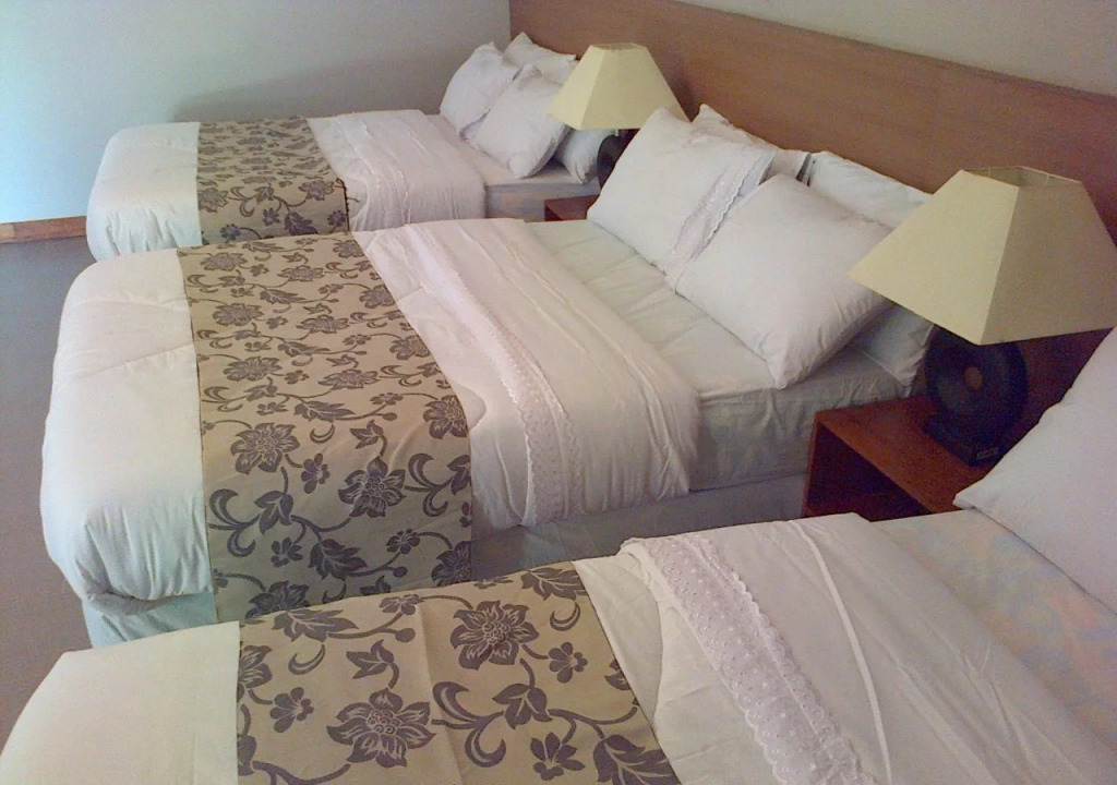 Bushida Bed and Breakfast