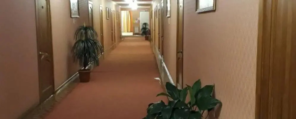 Дружба
