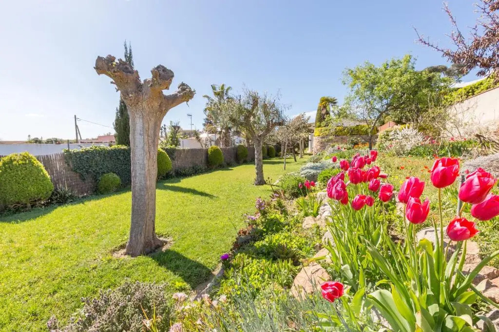 2MG - Blanes