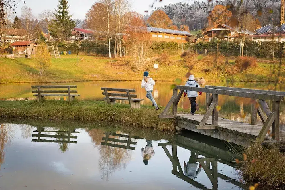 Ferienanlage Bäckerwiese in Neuschönau