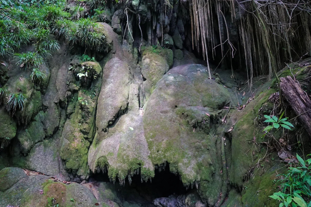 Winika Habitat